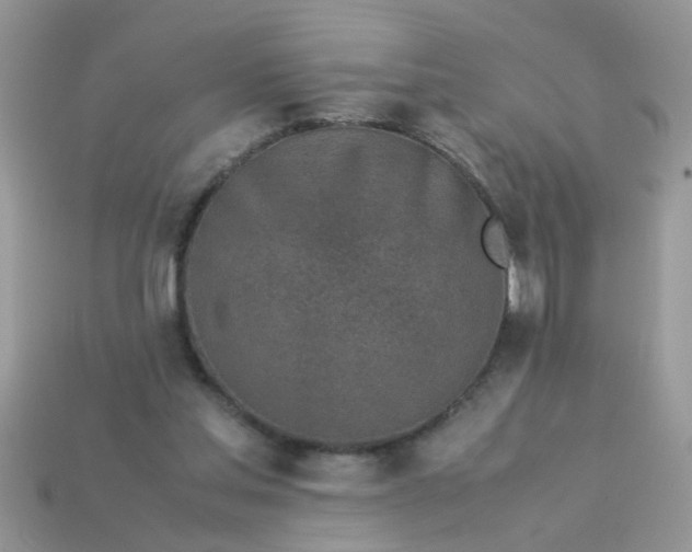 X0000113040205200909101925