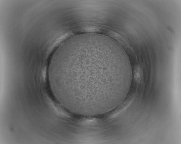 X0000113040206200909101925