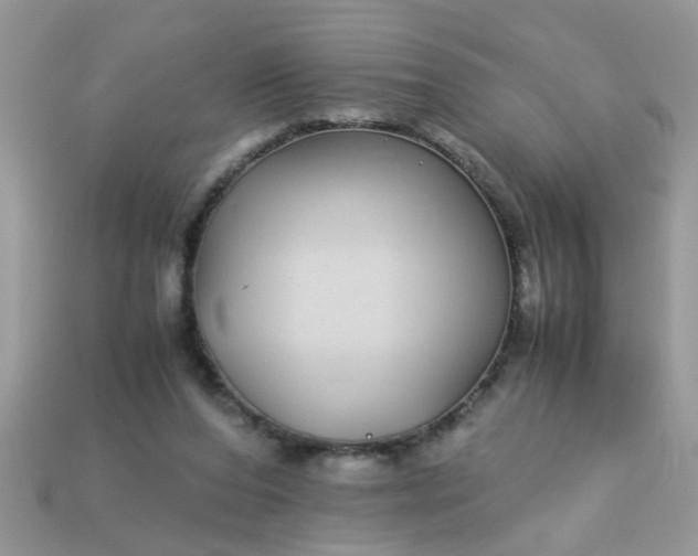 X0000113040208200909101925