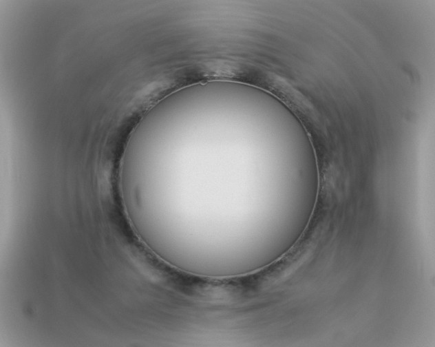 X0000113040209200909101925