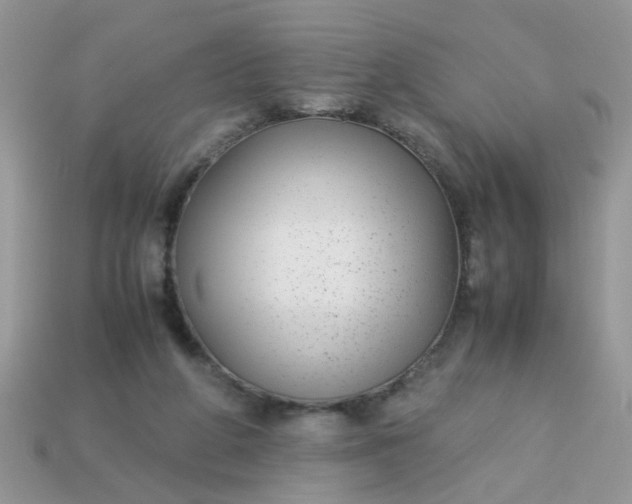 X0000113040210200909101925