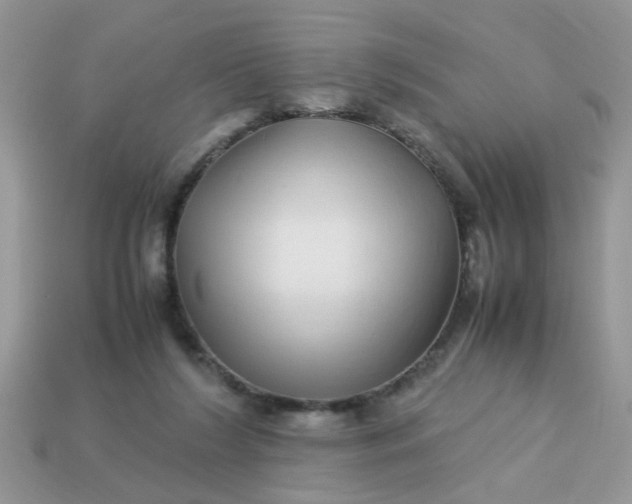X0000113040212200909101925