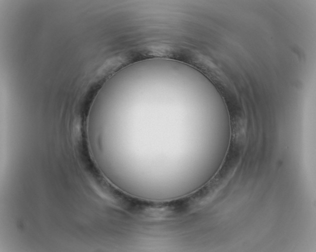 X0000113040213200909101925