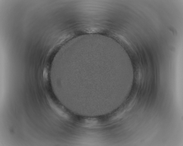 X0000113040214200909101925