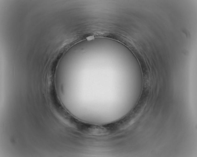 X0000113040215200909101925
