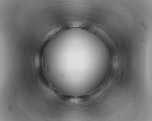 X0000113040216200909101925