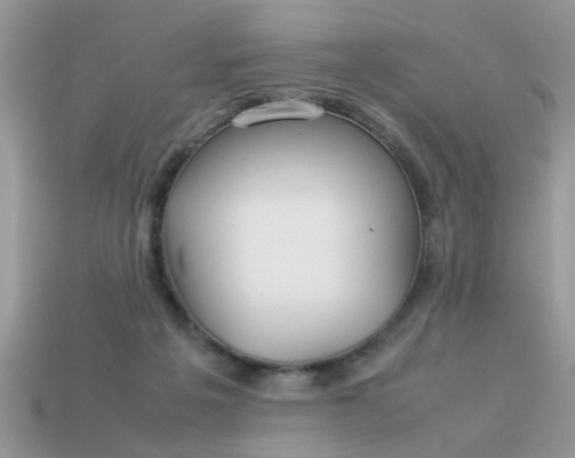 X0000113040217200909101925