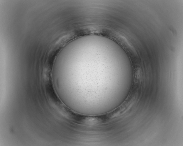 X0000113040218200909101925