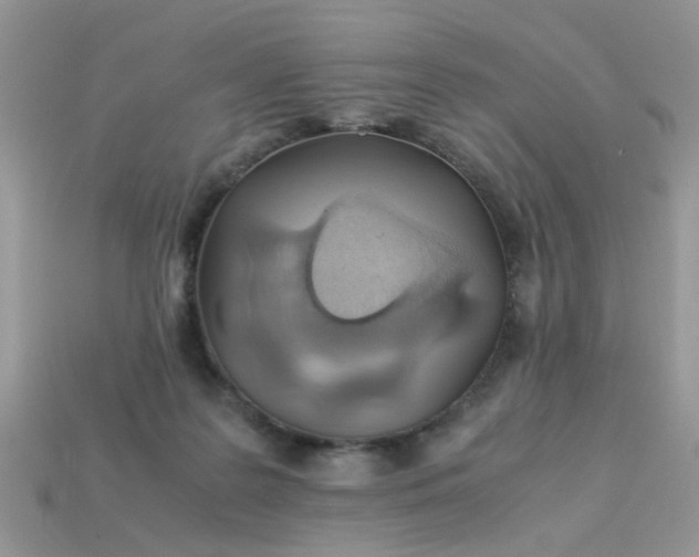 X0000113040219200909101925