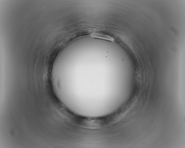 X0000113040221200909101925