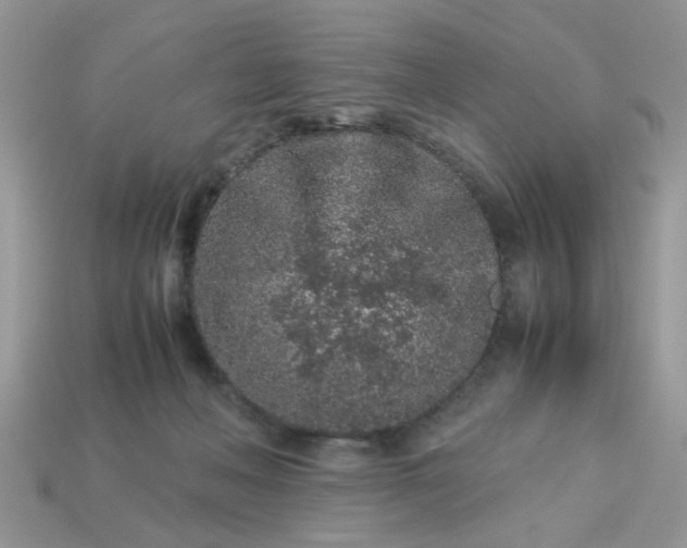 X0000113040222200909101925