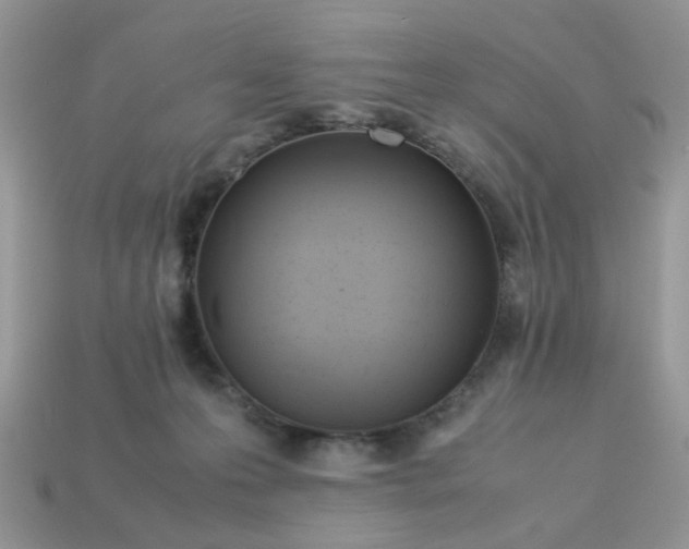 X0000113040223200909101925