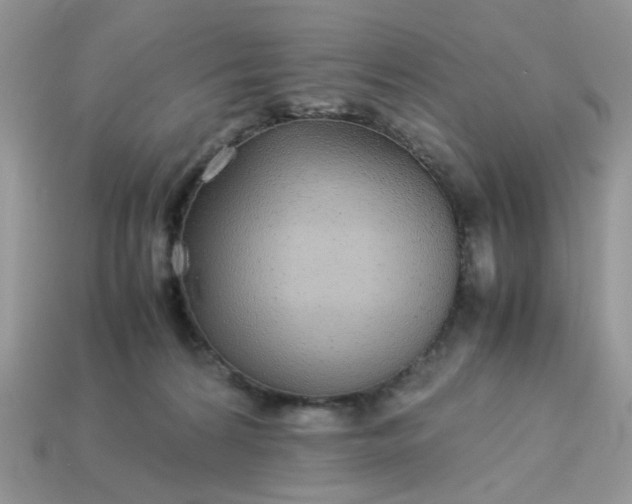 X0000113040224200909101925