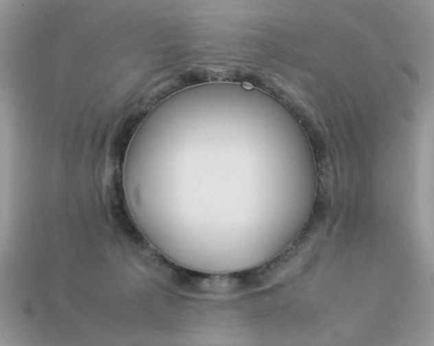 X0000113040225200909101925