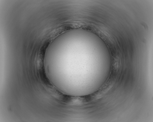X0000113040226200909101925