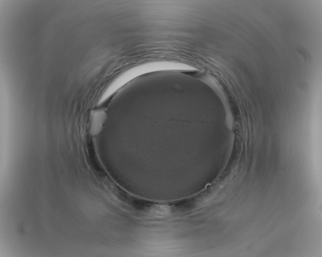 X0000113040227200909101925