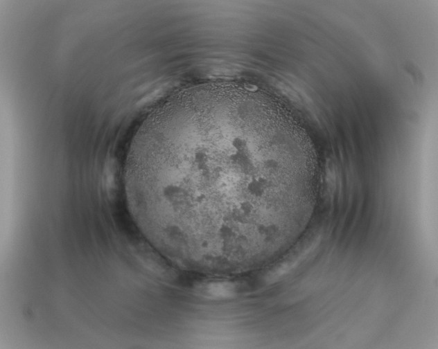 X0000113040228200909101925
