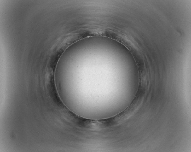 X0000113040229200909101925