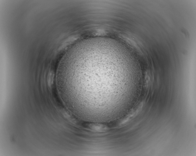 X0000113040230200909101925