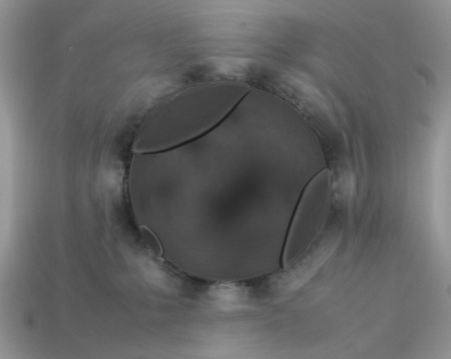 X0000113040231200909101925