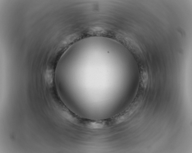 X0000113040232200909101925