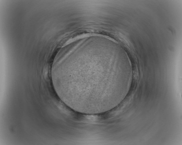 X0000113040233200909101925