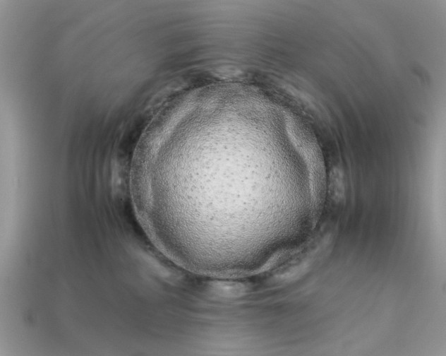 X0000113040234200909101925