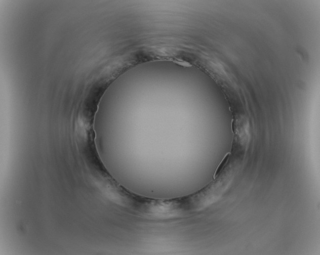 X0000113040235200909101925