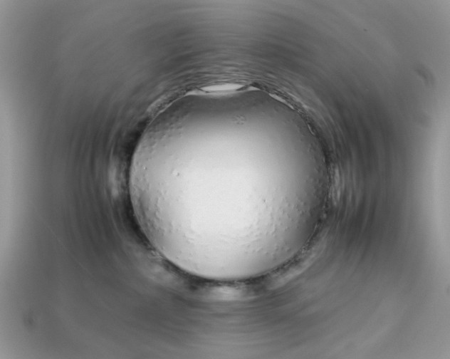 X0000113040236200909101925