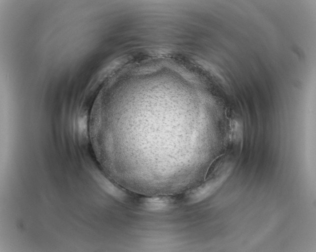 X0000113040238200909101925