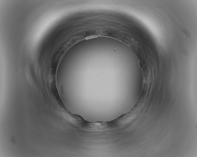 X0000113040239200909101925