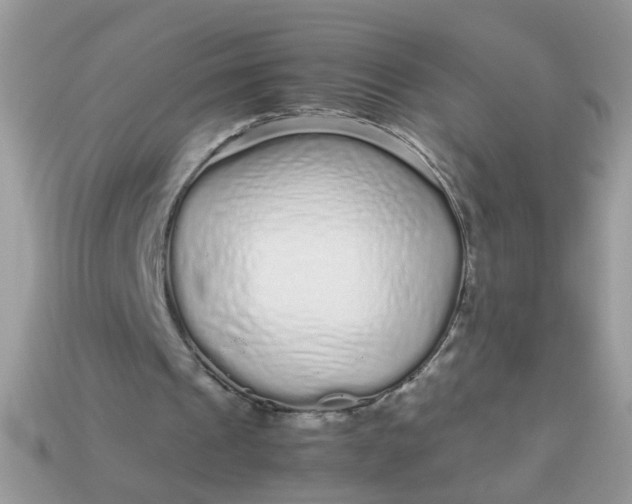 X0000113040241200909101924