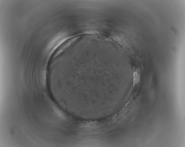 X0000113040243200909101924