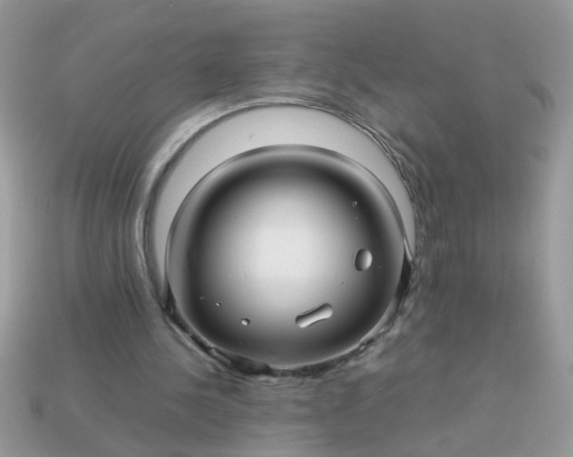 X0000113040244200909101924