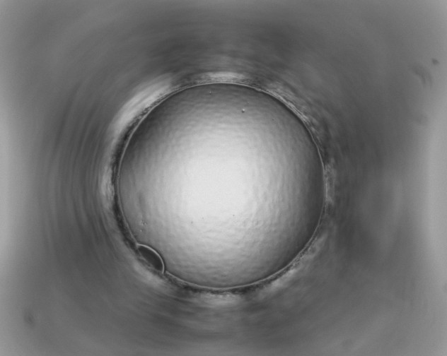 X0000113040245200909101924