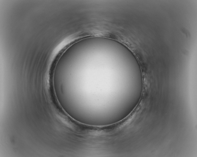 X0000113040246200909101924