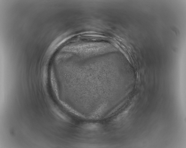 X0000113040247200909101924
