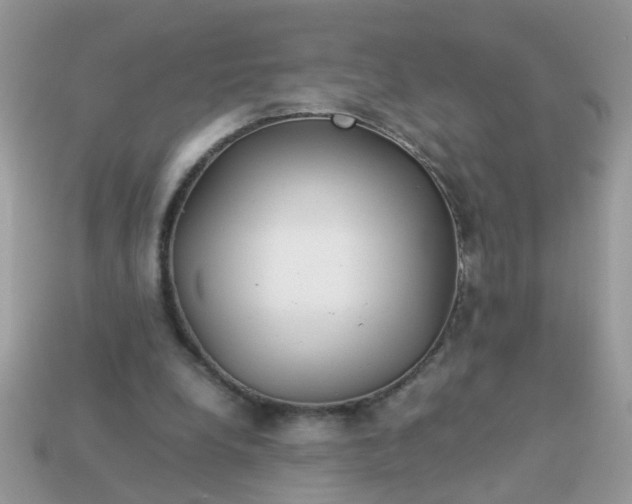 X0000113040248200909101924