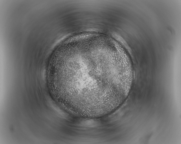 X0000113040249200909101924