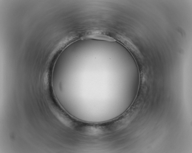 X0000113040250200909101924