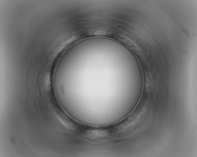 X0000113040251200909101924