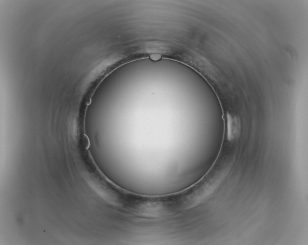 X0000113040252200909101924