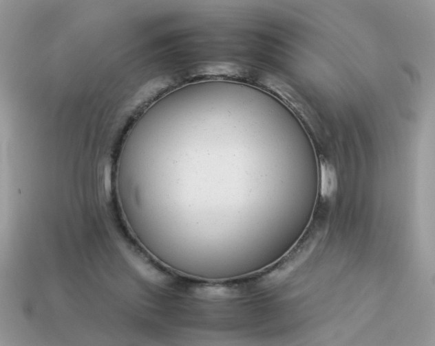 X0000113040253200909101924