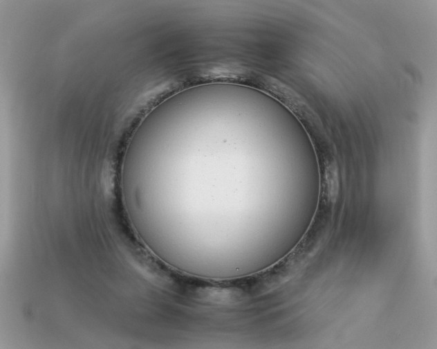 X0000113040255200909101924