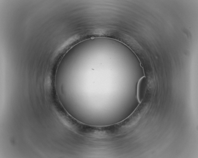 X0000113040256200909101924