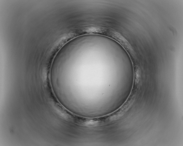 X0000113040257200909101924