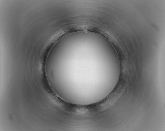 X0000113040258200909101924