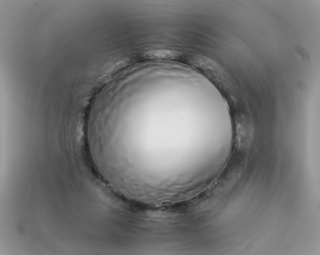 X0000113040259200909101924
