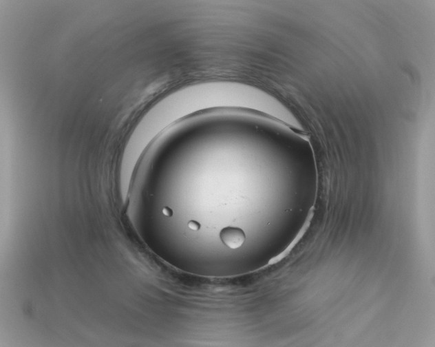 X0000113040260200909101924