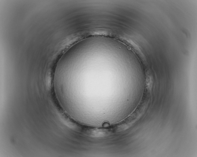 X0000113040261200909101924